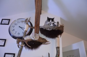 gemüüüütlich